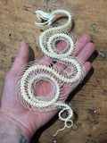 Articulated Snake Skeleton